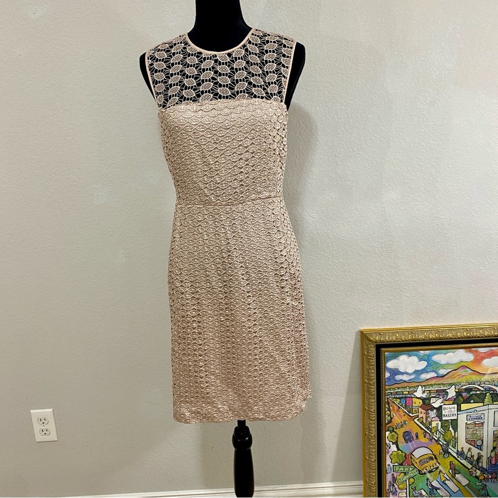 Diane Von Furstenberg Nude/Blush Kinchu Lace Sheath Dress, Size 8, Classic, Chic - Picture 1 of 8